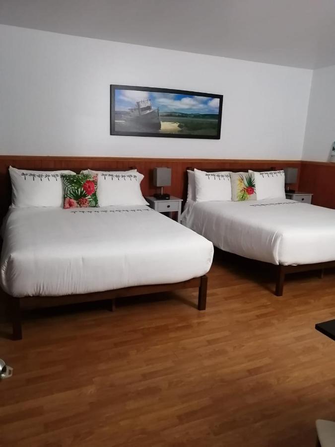 Hotel Fleurs Karaibes Saint-Alexandre-de-Kamouraska Экстерьер фото